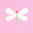 PINK/MULTICOLOUR