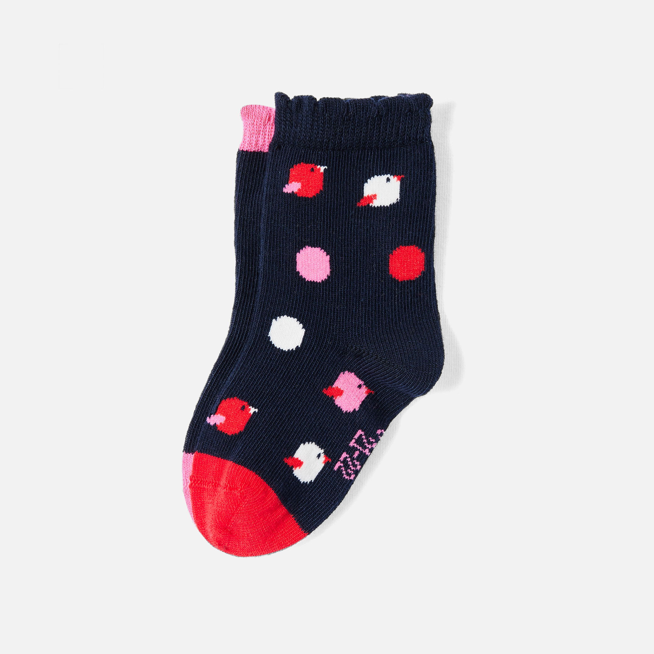 Baby girl socks duo